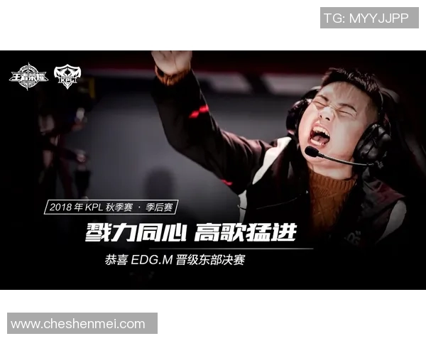 RNG逆袭之旅揭秘国际邀请赛背后的奋斗与荣耀